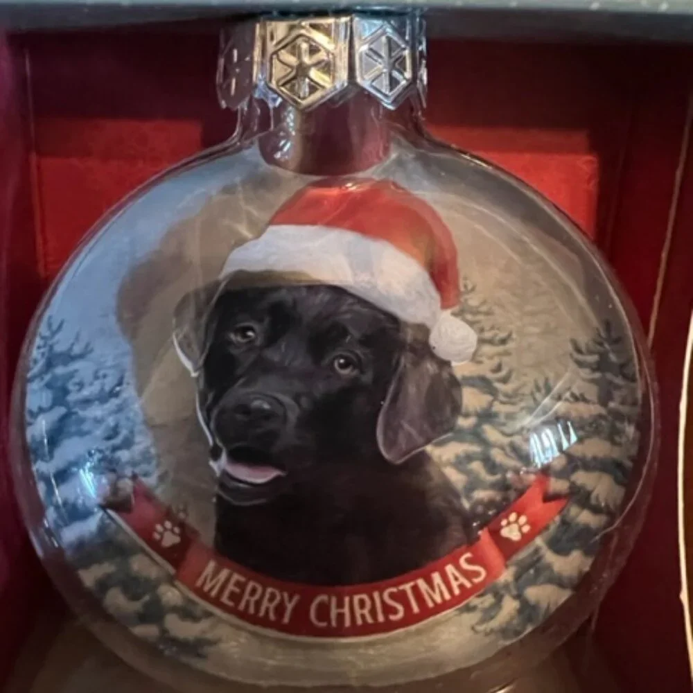 Santa Paws Glass Baubles Christmas Ornament for dog lover Packaged in a gift box
